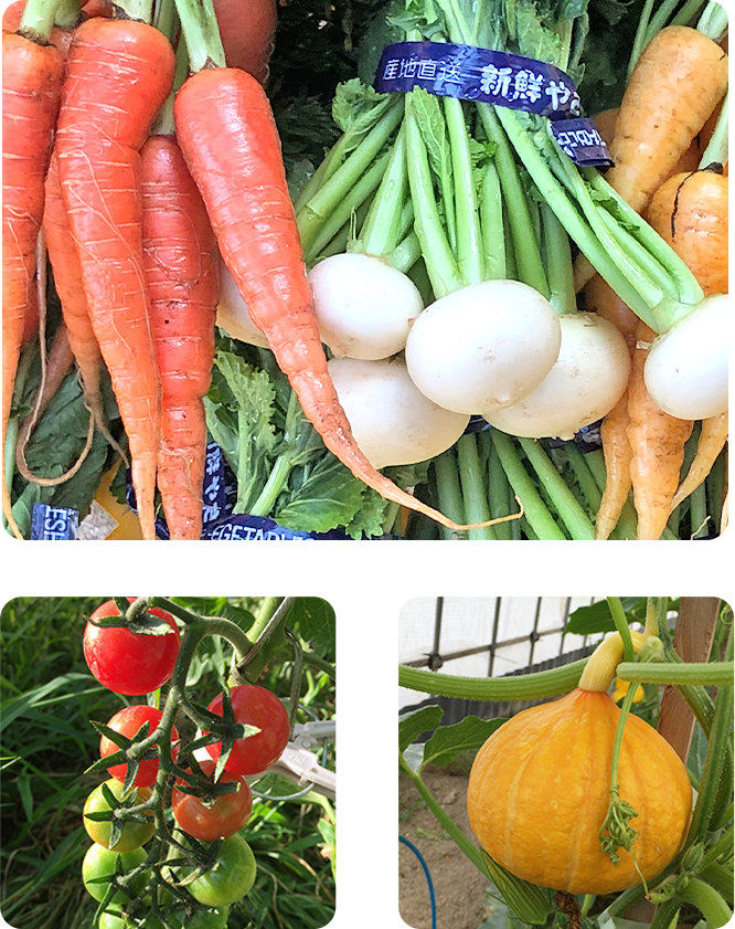 当園のこだわり